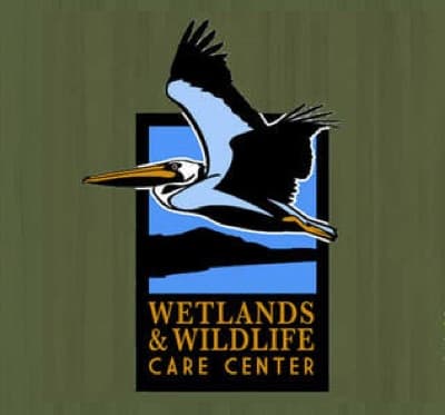 Wetlands and Wildlife Care Center