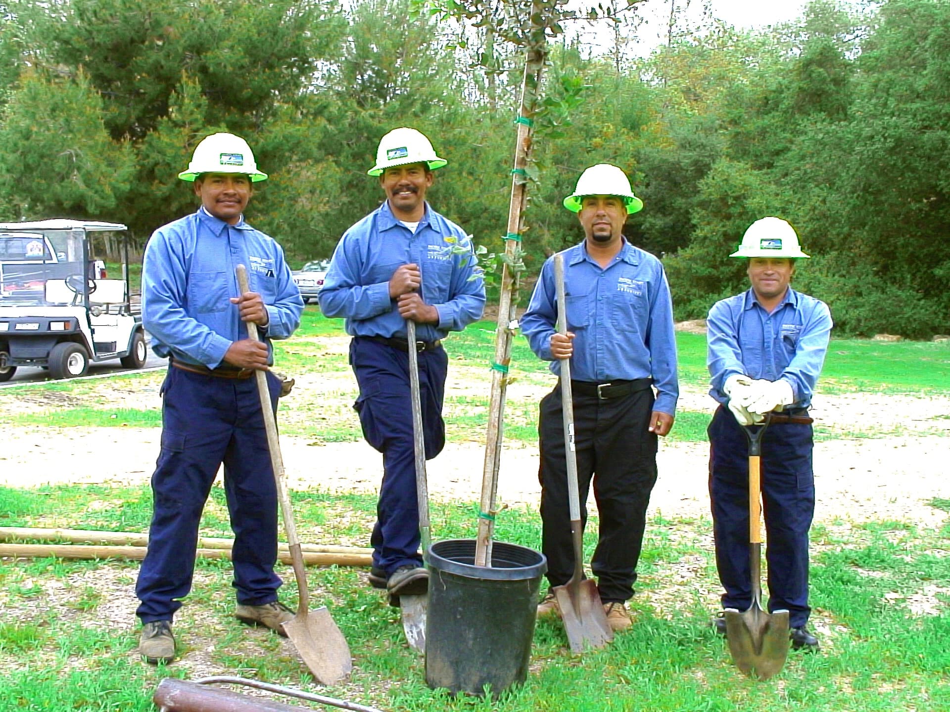 Four crew members in hard hats planting a young tree